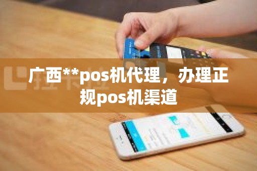 广西**pos机代理，办理正规pos机渠道