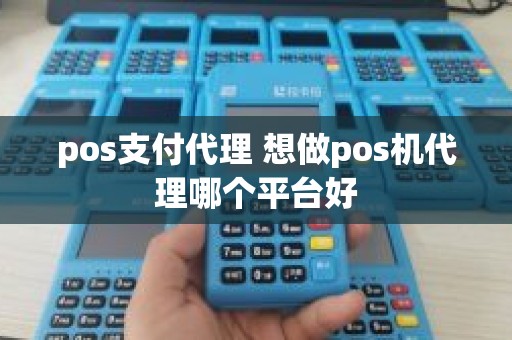 pos支付代理 想做pos机代理哪个平台好