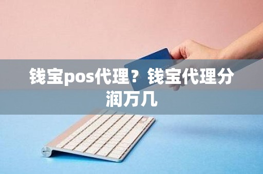 钱宝pos代理？钱宝代理分润万几