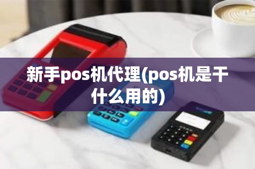 新手pos机代理(pos机是干什么用的)