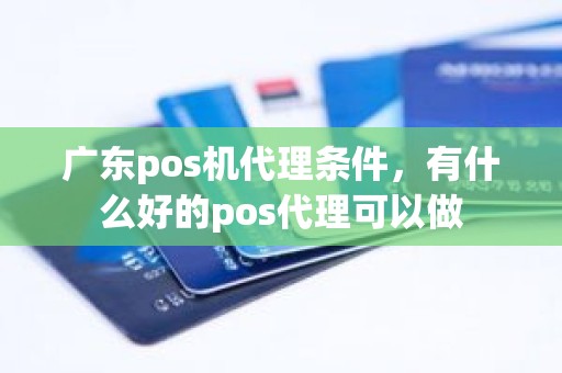 广东pos机代理条件，有什么好的pos代理可以做