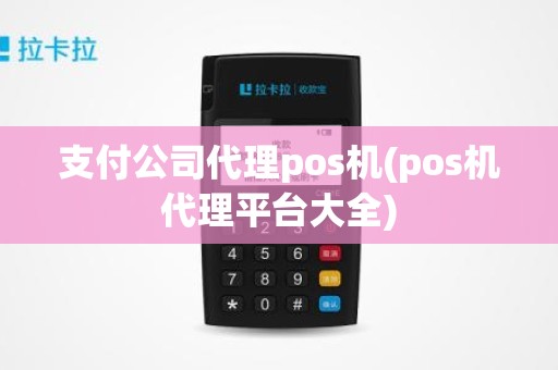 支付公司代理pos机(pos机代理平台大全)