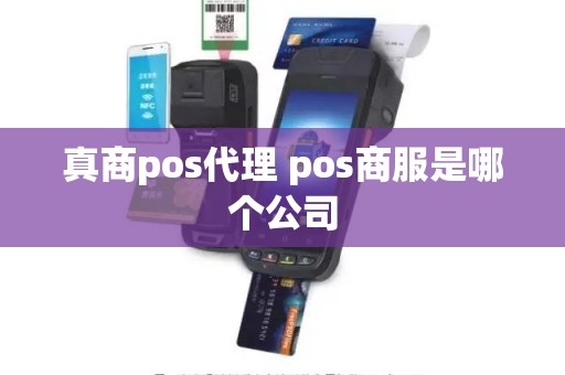 真商pos代理 pos商服是哪个公司