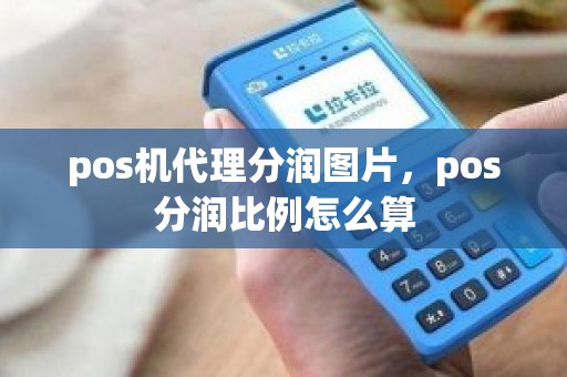 pos机代理分润图片，pos分润比例怎么算