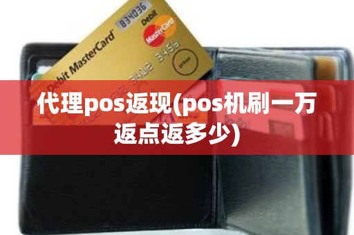 代理pos返现(pos机刷一万返点返多少)