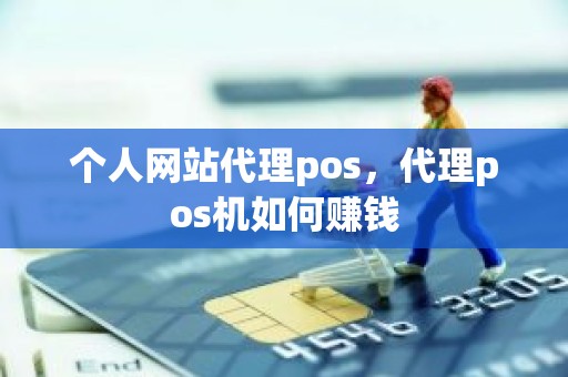 个人网站代理pos，代理pos机如何赚钱