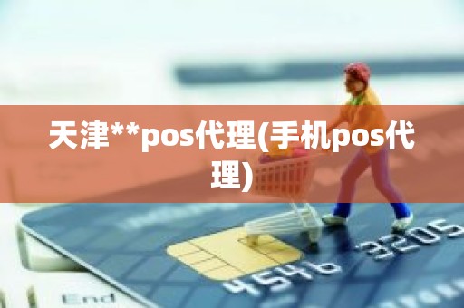 天津**pos代理(手机pos代理)