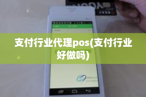 支付行业代理pos(支付行业好做吗)