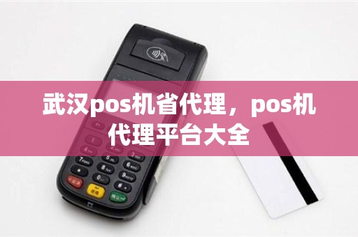 武汉pos机省代理，pos机代理平台大全