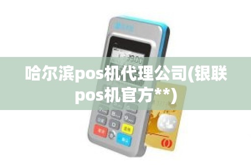 哈尔滨pos机代理公司(银联pos机官方**)