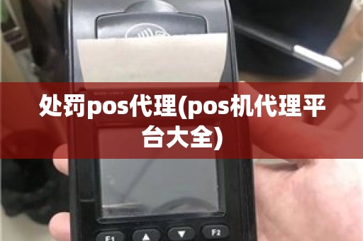 处罚pos代理(pos机代理平台大全)