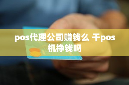 pos代理公司赚钱么 干pos机挣钱吗