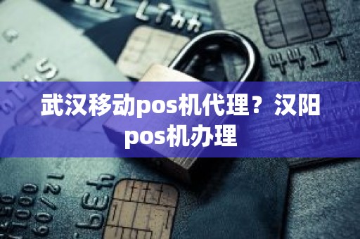 武汉移动pos机代理？汉阳pos机办理