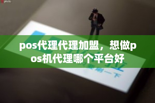 pos代理代理加盟，想做pos机代理哪个平台好