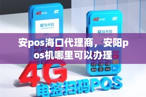 安pos海口代理商，安阳pos机哪里可以办理