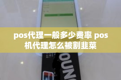 pos代理一般多少费率 pos机代理怎么被割韭菜