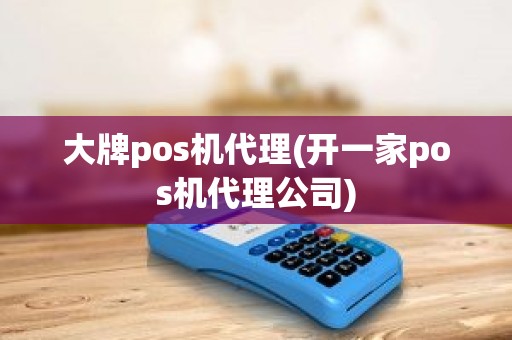 大牌pos机代理(开一家pos机代理公司)