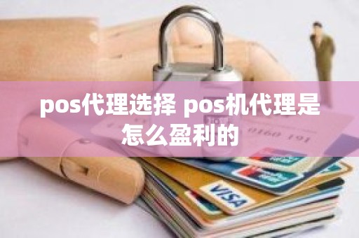 pos代理选择 pos机代理是怎么盈利的