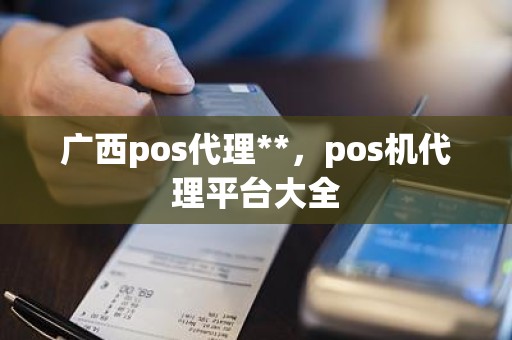 广西pos代理**，pos机代理平台大全