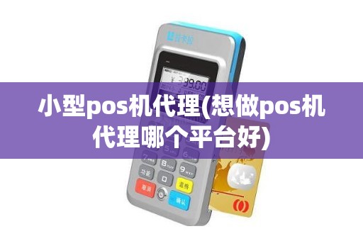 小型pos机代理(想做pos机代理哪个平台好)