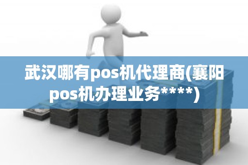 武汉哪有pos机代理商(襄阳pos机办理业务****)