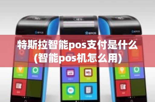 特斯拉智能pos支付是什么(智能pos机怎么用)