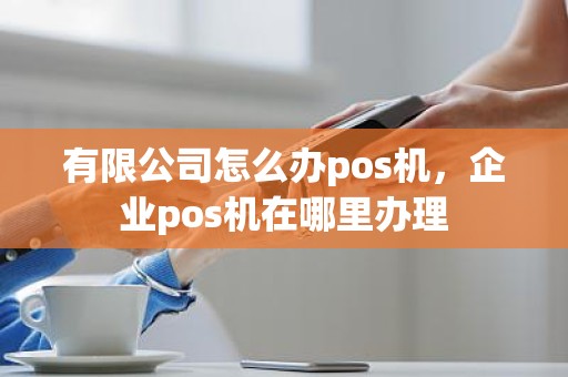 有限公司怎么办pos机，企业pos机在哪里办理