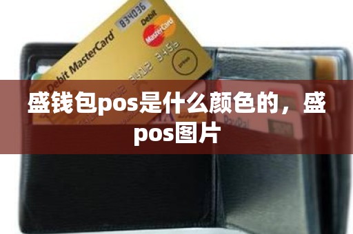 盛钱包pos是什么颜色的，盛pos图片