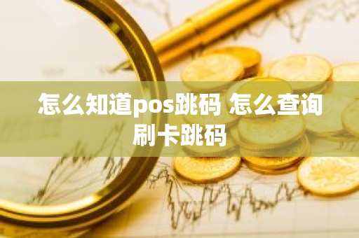 怎么知道pos跳码 怎么查询刷卡跳码