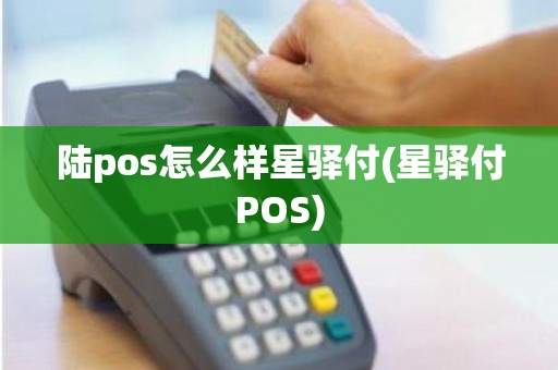 陆pos怎么样星驿付(星驿付POS)