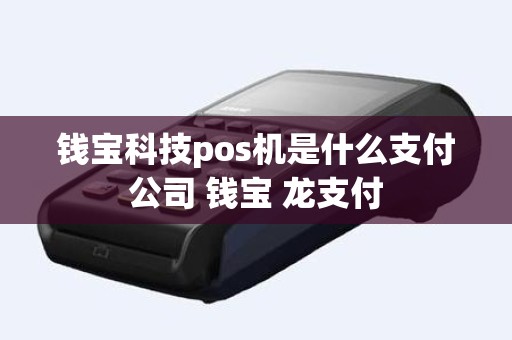 钱宝科技pos机是什么支付公司 钱宝 龙支付