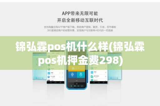 锦弘霖pos机什么样(锦弘霖pos机押金费298)