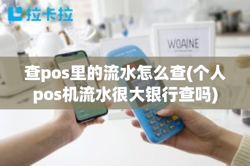 查pos里的流水怎么查(个人pos机流水很大银行查吗)