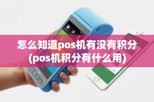 怎么知道pos机有没有积分(pos机积分有什么用)