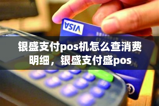 银盛支付pos机怎么查消费明细，银盛支付盛pos