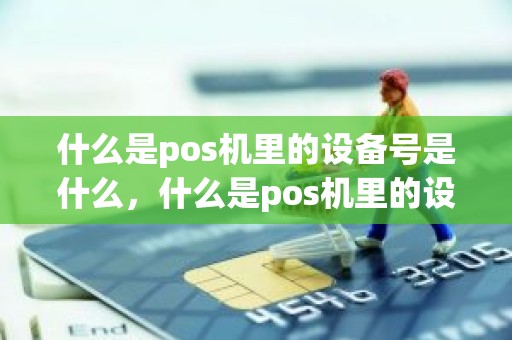 什么是pos机里的设备号是什么,什么是pos机里的设备号是什么 什么是pos机里的设备号是什么,什么是pos机里的设备号是什么