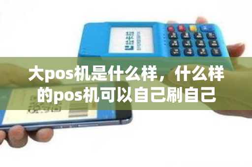 大pos机是什么样，什么样的pos机可以自己刷自己