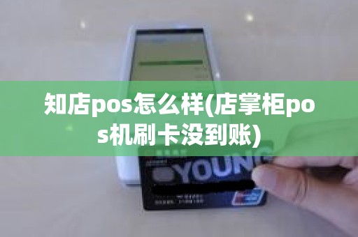 知店pos怎么样(店掌柜pos机刷卡没到账)