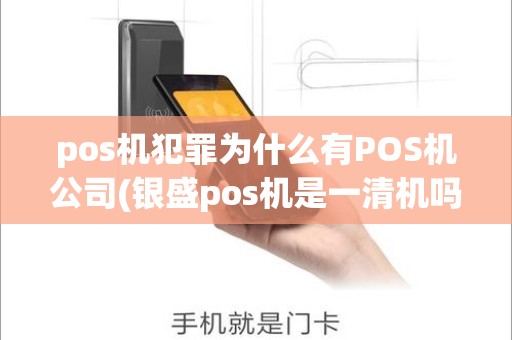 pos机犯罪为什么有POS机公司(银盛pos机是一清机吗) pos机犯罪为什么有POS机公司(银盛pos机是一清机吗)