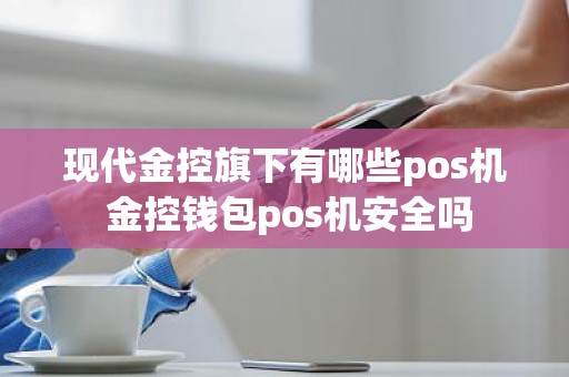 现代金控旗下有哪些pos机 金控钱包pos机安全吗