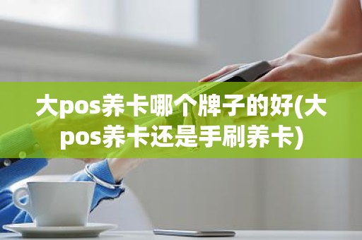 大pos养卡哪个牌子的好(大pos养卡还是手刷养卡) 大pos养卡哪个牌子的好(大pos养卡还是手刷养卡)