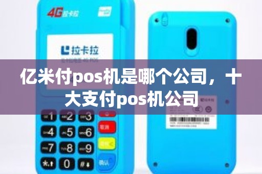 亿米付pos机是哪个公司，十大支付pos机公司