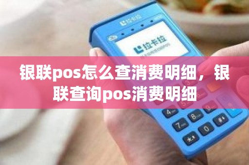 银联pos怎么查消费明细，银联查询pos消费明细