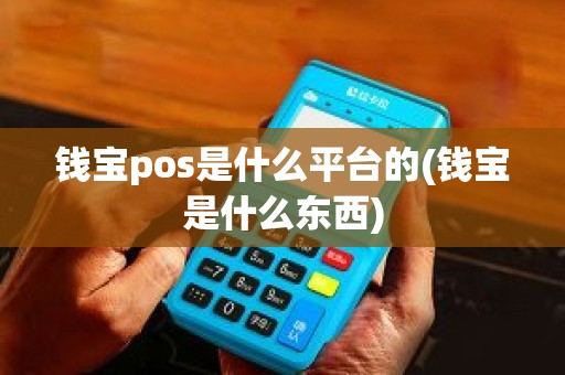 钱宝pos是什么平台的(钱宝是什么东西)