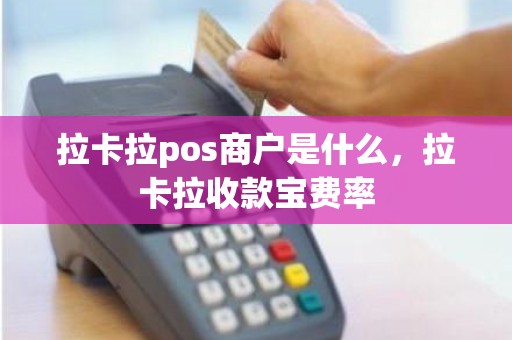 拉卡拉pos商户是什么，拉卡拉收款宝费率