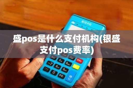 盛pos是什么支付机构(银盛支付pos费率)