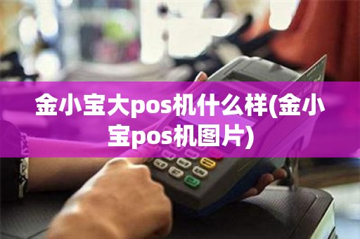 金小宝大pos机什么样(金小宝pos机图片)
