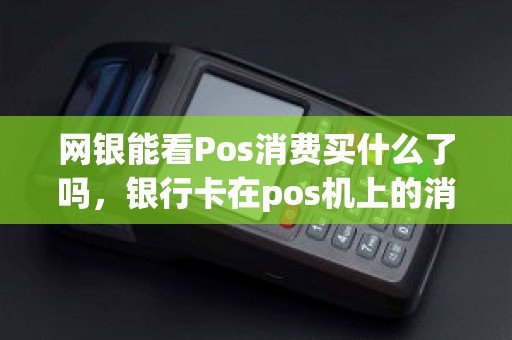 网银能看Pos消费买什么了吗，银行卡在pos机上的消费记录怎么查