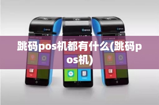 跳码pos机都有什么(跳码pos机)