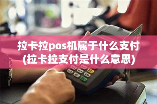 拉卡拉pos机属于什么支付(拉卡拉支付是什么意思)